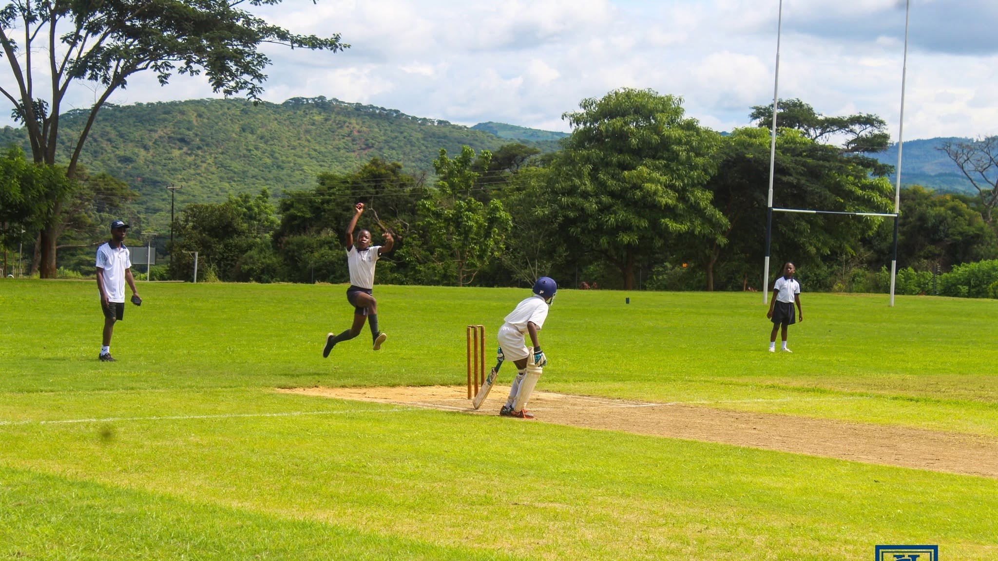 Cricket